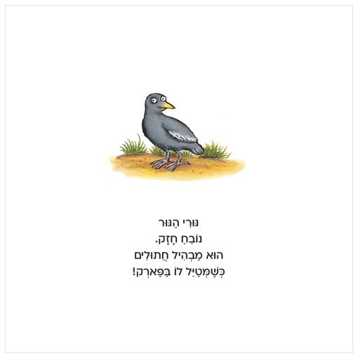 סיפור על גורי הגור